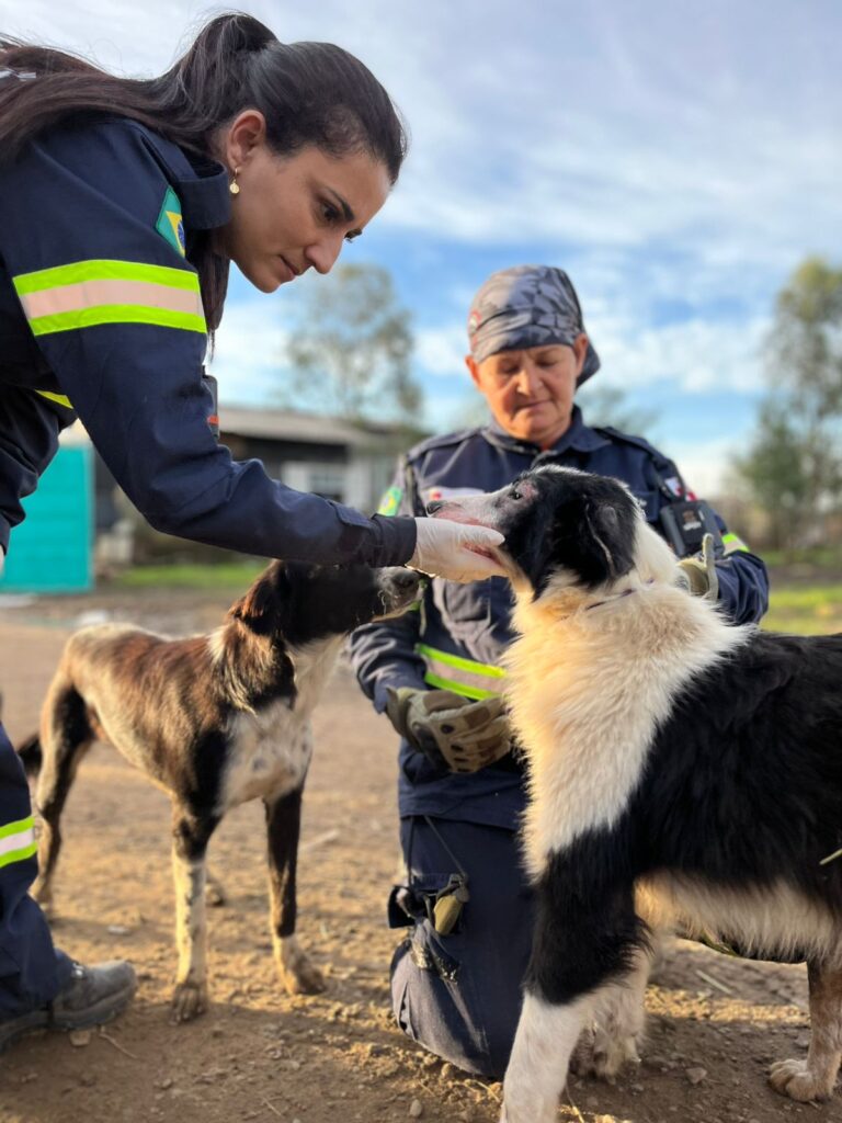 Cópia de Cópia de Cópia de PHOTO-2024-06-29-14-19-46