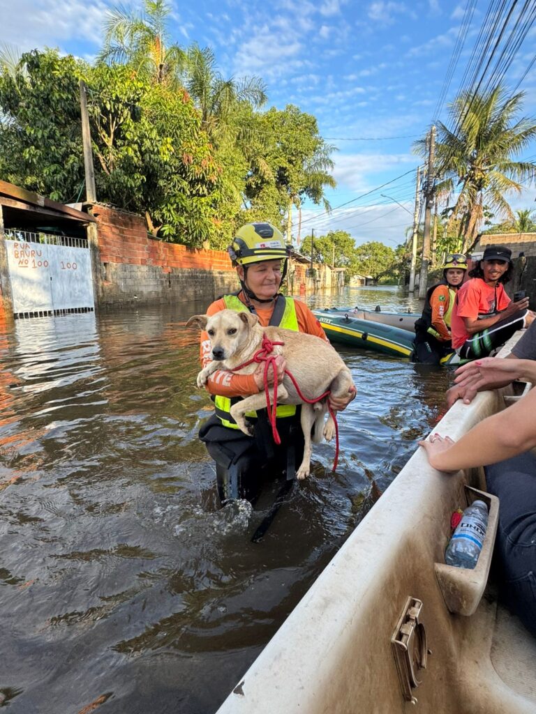 Cópia de PHOTO-2025-01-10-18-02-37