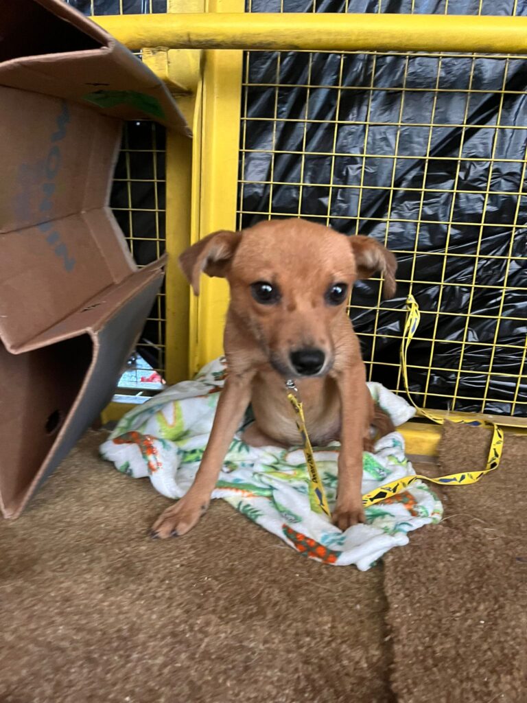 PHOTO-2024-05-17-19-23-36