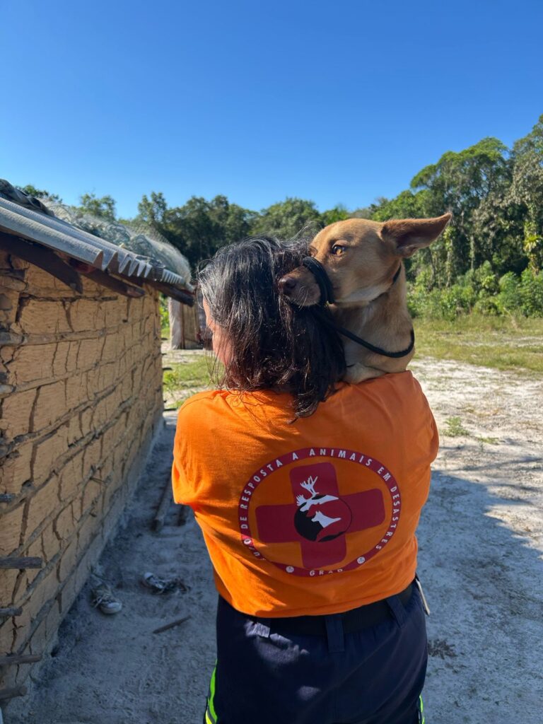 PHOTO-2025-04-04-11-17-54 (1)