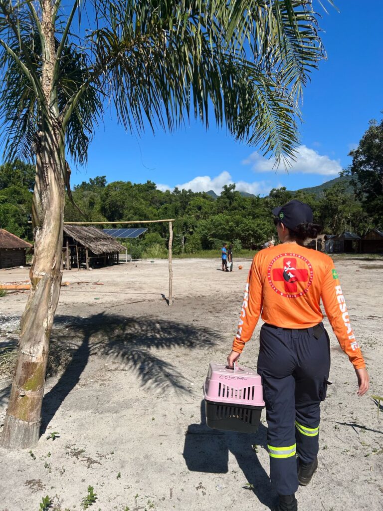 PHOTO-2025-04-04-11-18-05