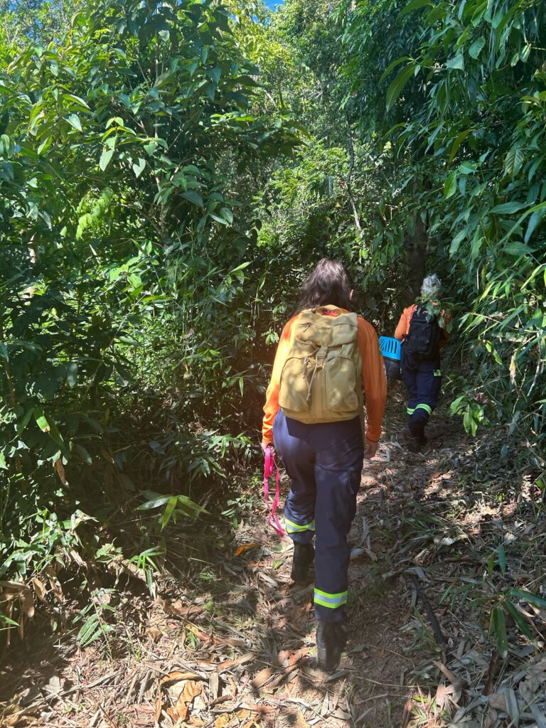 PHOTO-2025-04-04-11-18-10