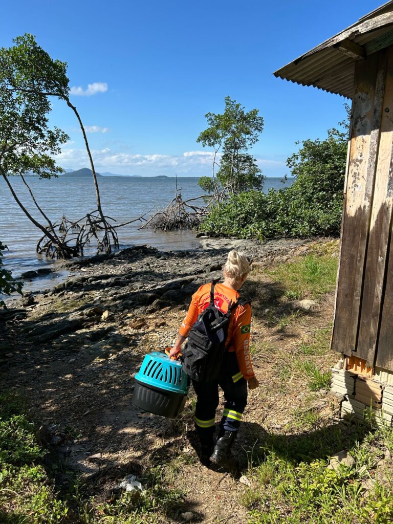 PHOTO-2025-04-04-11-18-20