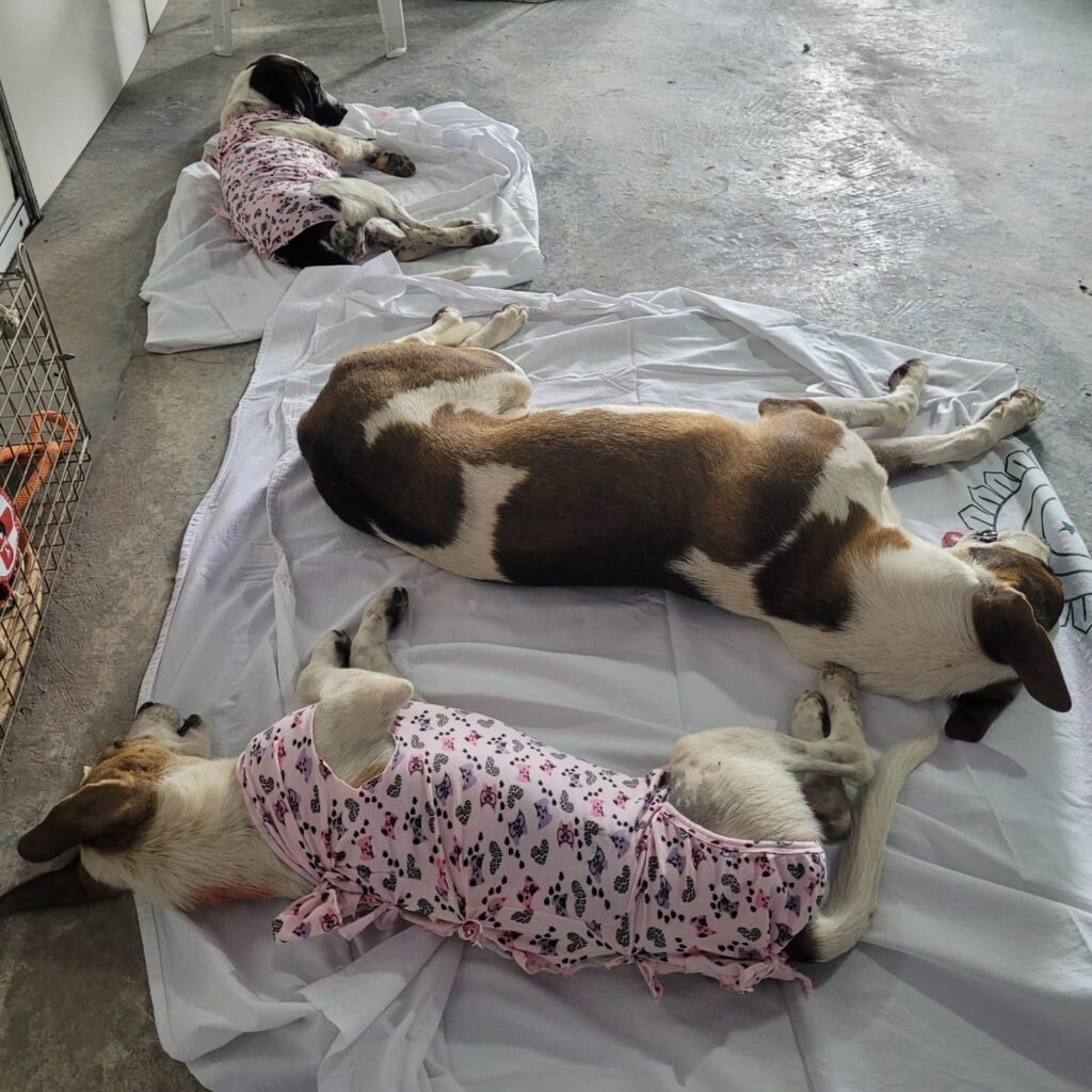 PHOTO-2025-05-24-22-53-03