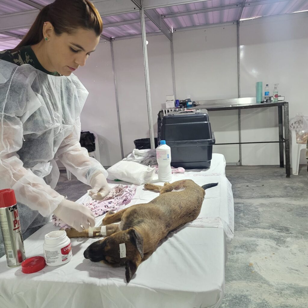 PHOTO-2025-05-24-22-53-05