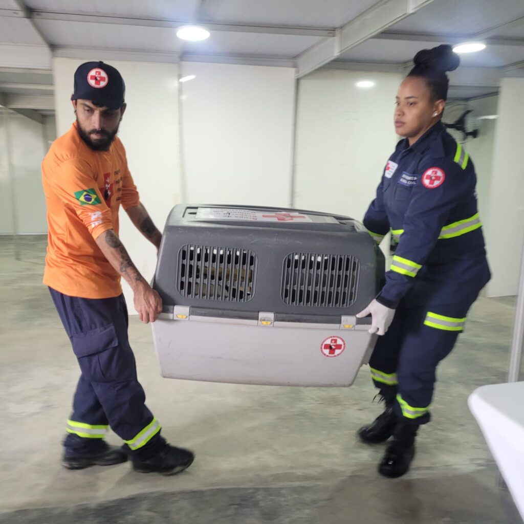 PHOTO-2025-05-24-22-53-06