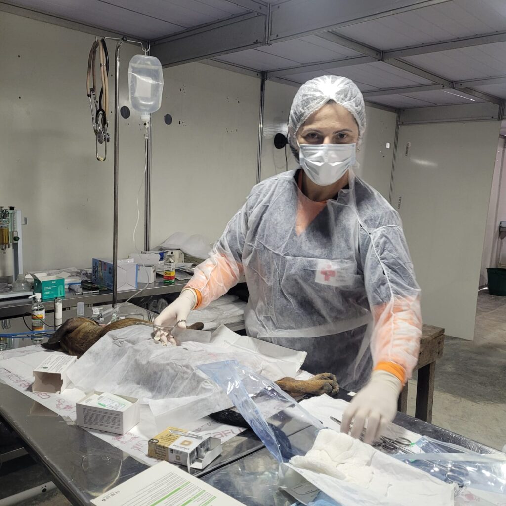 PHOTO-2025-05-24-22-53-07