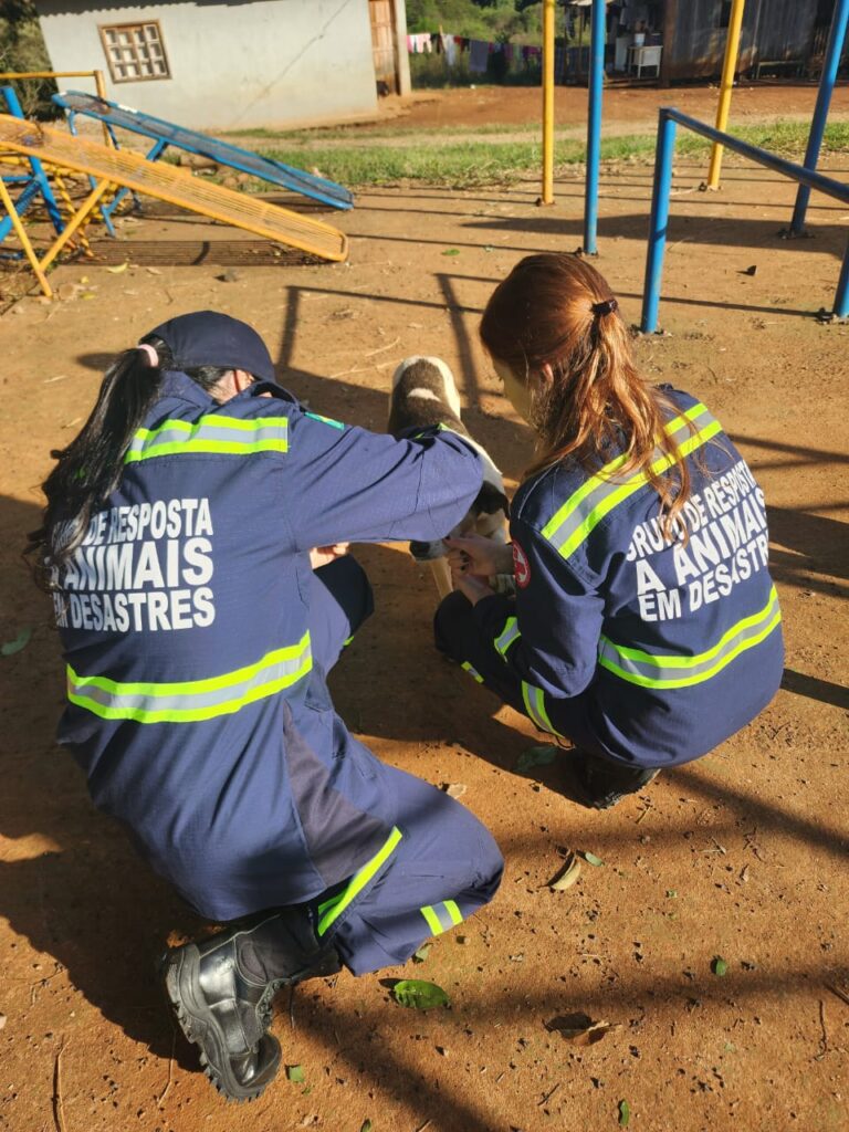 PHOTO-2025-05-26-09-55-44