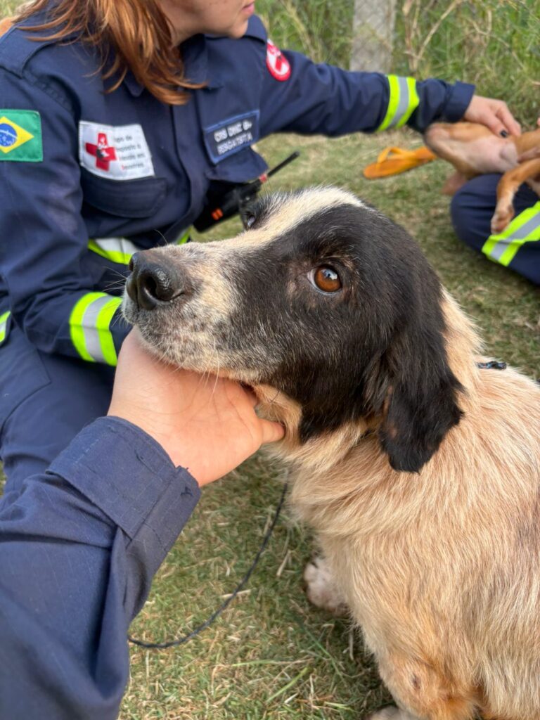 PHOTO-2025-05-26-19-44-28 (1)