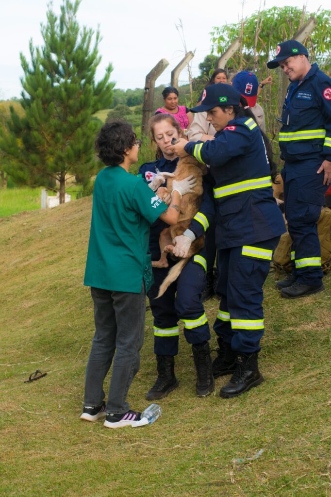 PHOTO-2025-05-27-00-50-09