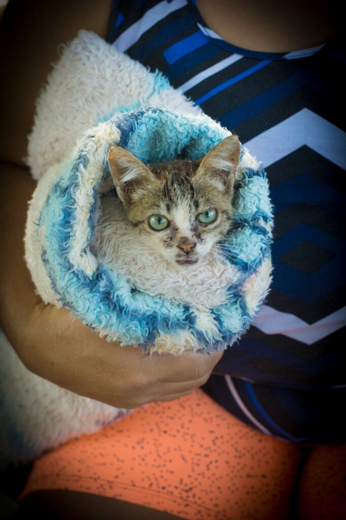 PHOTO-2025-05-27-00-51-34 (1)