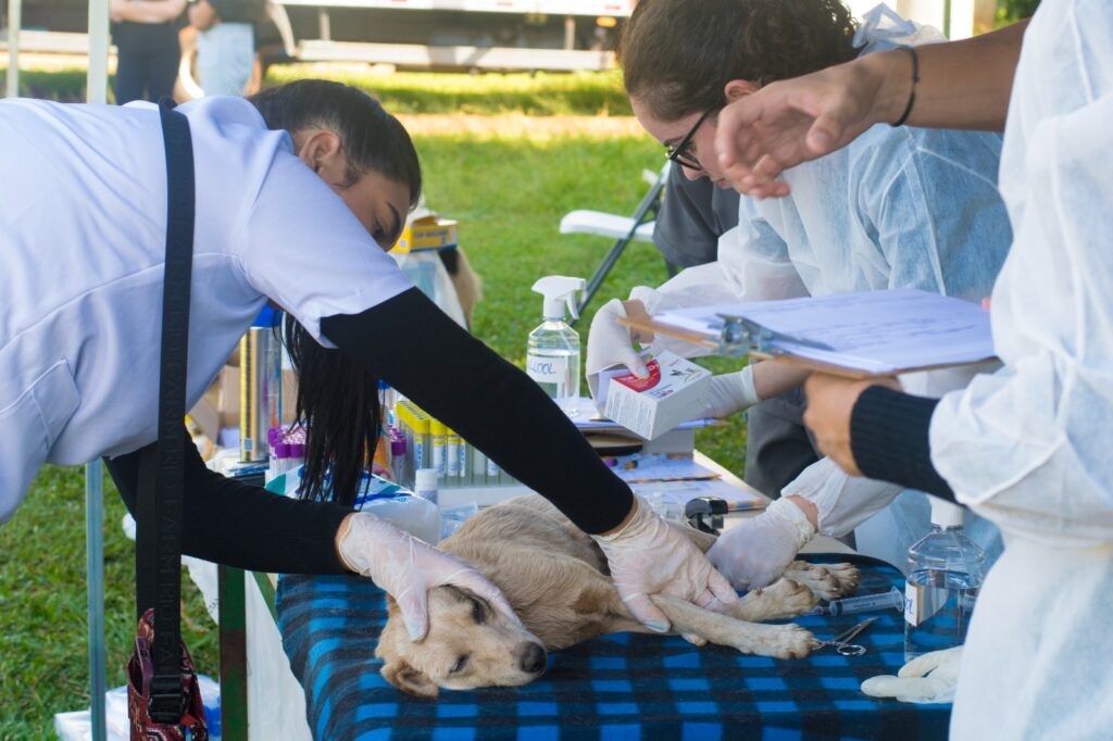 PHOTO-2025-05-27-00-51-38