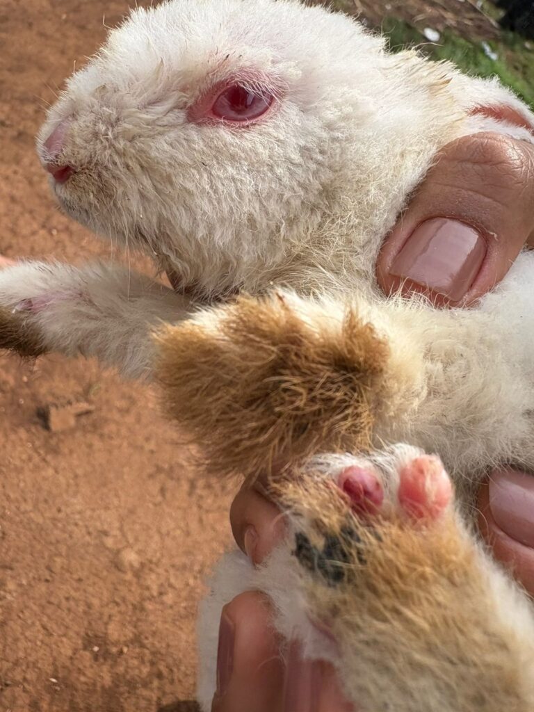 PHOTO-2025-05-27-21-11-51