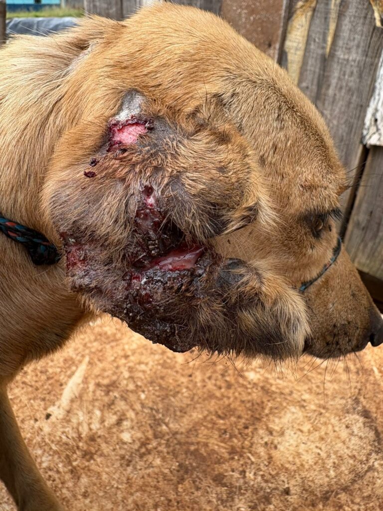 PHOTO-2025-05-27-21-11-52 (1)