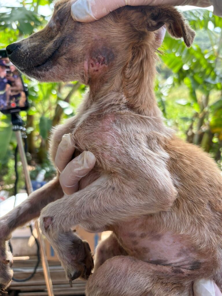 PHOTO-2025-05-27-21-11-52