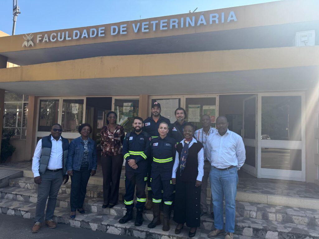 69c13477-8f75-41d4-8afc-71339f8b9edd