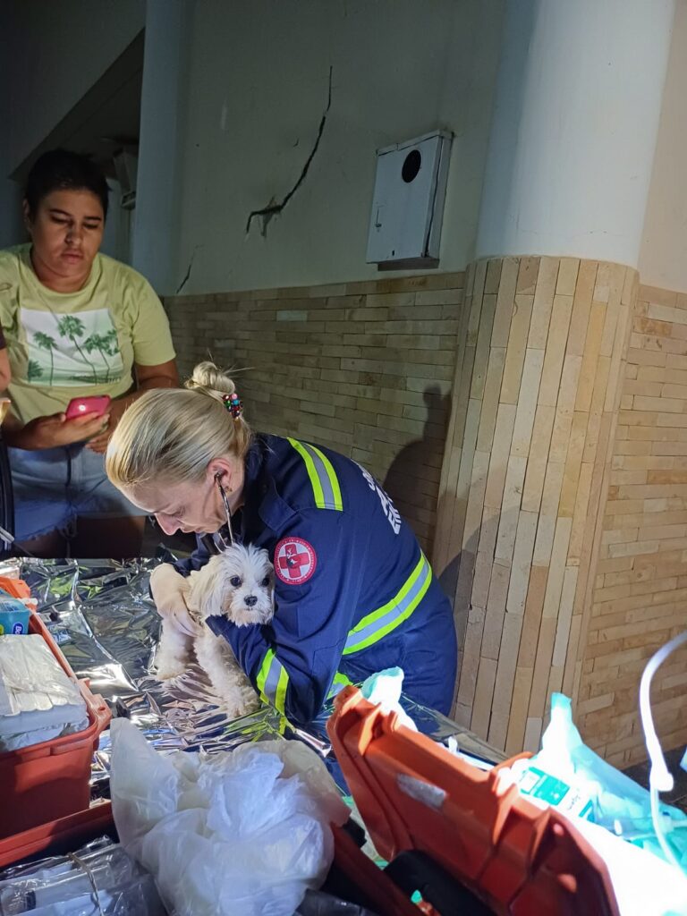 PHOTO-2025-01-17-21-29-37 (1)