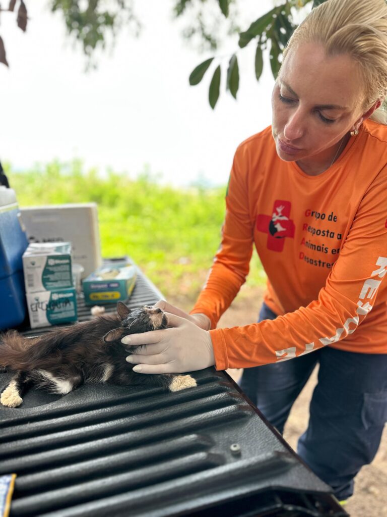 PHOTO-2025-01-18-14-14-51