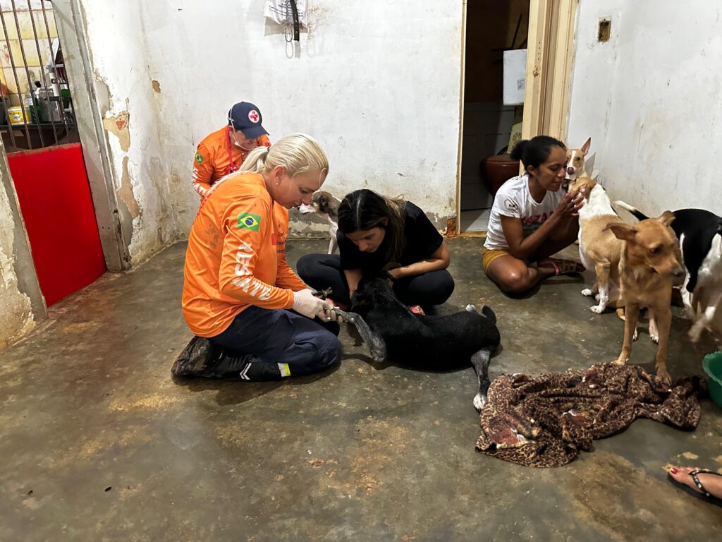 PHOTO-2025-01-18-14-14-52