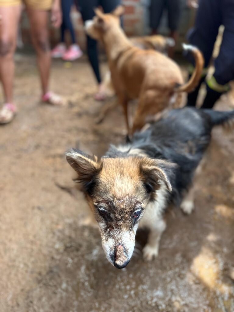 PHOTO-2025-01-18-14-14-53