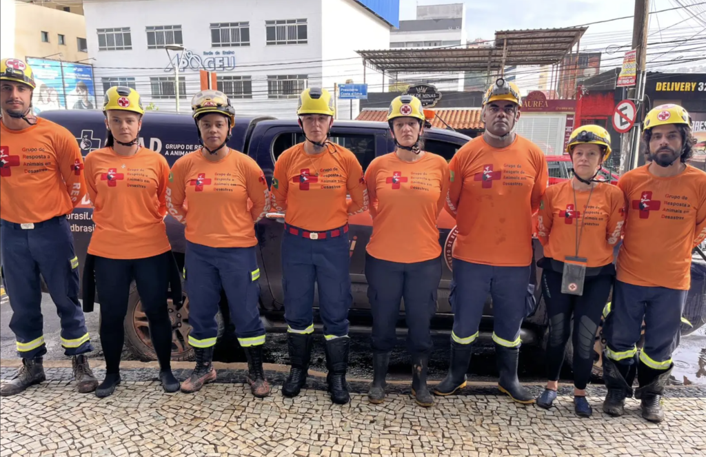 Juiz de Fora8