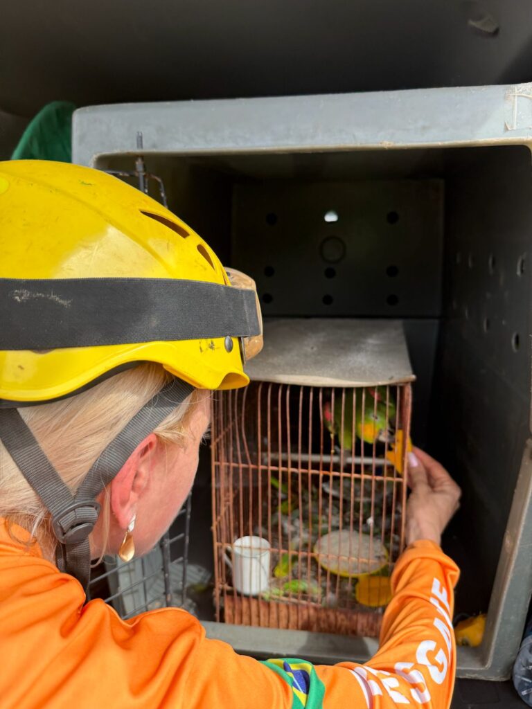 Venezuela 2
