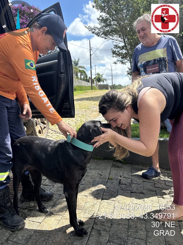 Reencontro entre tutora e seu animal após atuação do GRAD Brasil